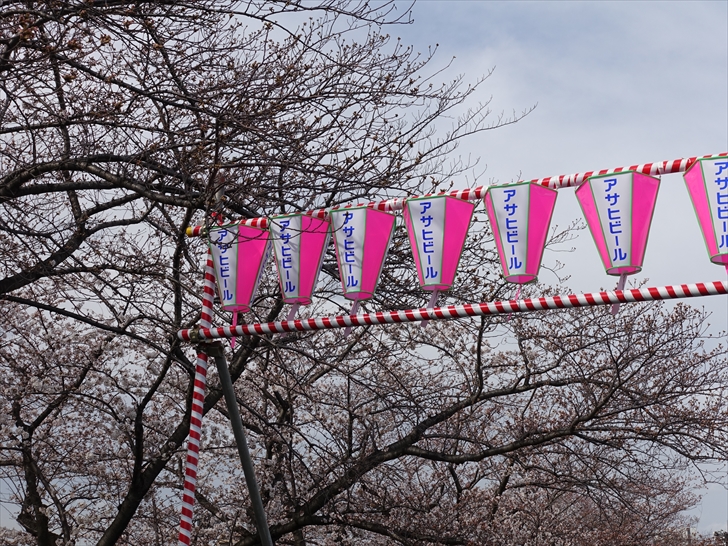 隅田公園桜まつり