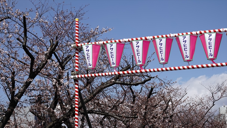 隅田公園 桜