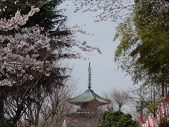 上野東照宮・五重塔