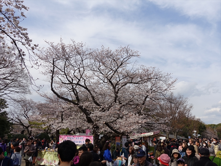 ��쉶�������i���J�j