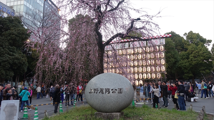 上野恩賜公園入口 桜
